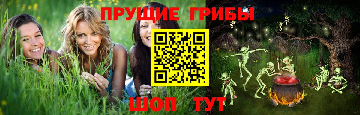 Орск  Псилоцибиновые грибы мицелий  Вход с VPN 